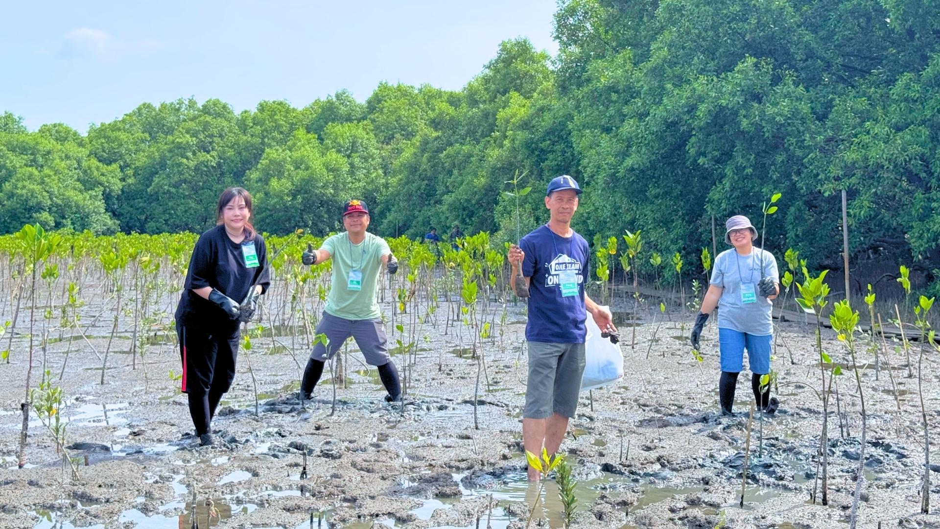 KPX CSR ปลูกต้นโกงกางในวันสิ่งแวดล้อมโลก