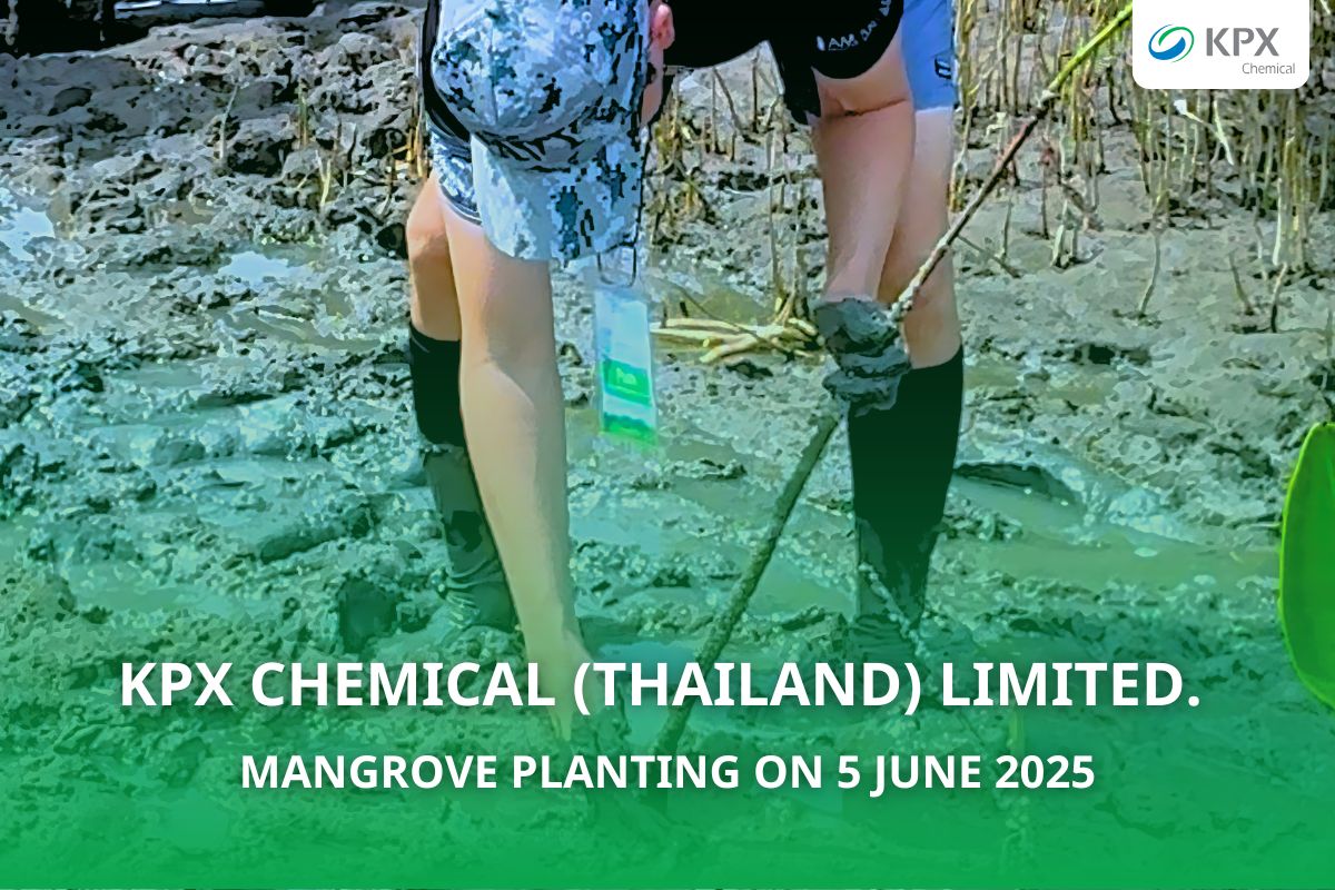 KPX CSR ปลูกต้นโกงกางในวันสิ่งแวดล้อมโลก